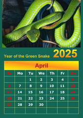 Illustration of a wall calendar 2025 of the Green Snake.