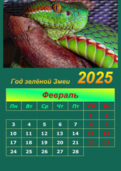 Illustration of a wall calendar 2025 of the Green Snake.