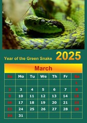 Illustration of a wall calendar 2025 of the Green Snake.