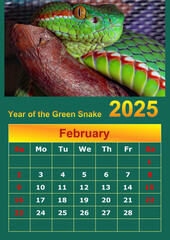 Illustration of a wall calendar 2025 of the Green Snake.