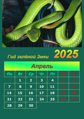Illustration of a wall calendar 2025 of the Green Snake.