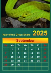 Illustration of a wall calendar 2025 of the Green Snake.