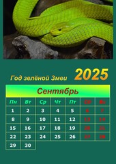 Illustration of a wall calendar 2025 of the Green Snake.