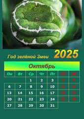 Illustration of a wall calendar 2025 of the Green Snake.