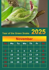 Illustration of a wall calendar 2025 of the Green Snake.