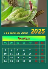 Illustration of a wall calendar 2025 of the Green Snake.