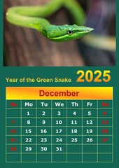 Illustration of a wall calendar 2025 of the Green Snake.