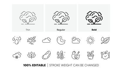 Cashew nut, Thermometer and Fish school line icons. Pack of Green energy, Brazil nut, Cloudy weather icon. Sun, Vegetarian food, Organic tested pictogram. Sunny weather, Leaf dew, Leaves. Vector