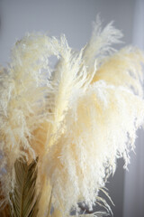 a vase with a yellow plant