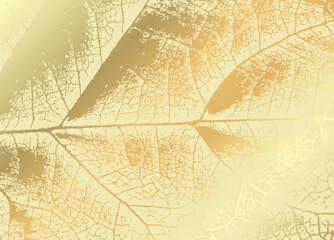 Gold leaf cover. Cream color leaf veining on gold background. Full screen, macro style, flat graphic silhouette.
