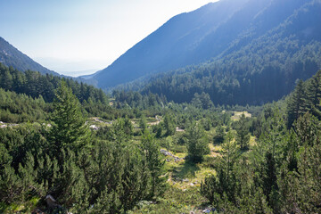 Pirin Mountain around Banderitsa River, Bulgaria