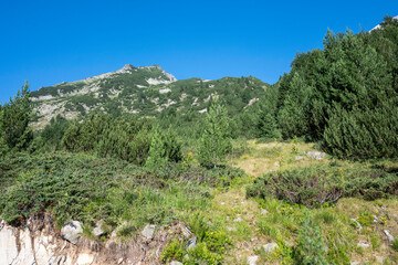 Pirin Mountain around Banderitsa River, Bulgaria