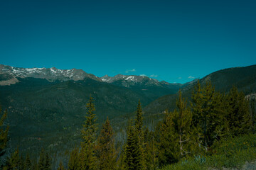 Mountains Pine Forest