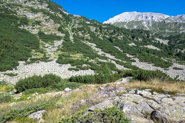 Pirin Mountain around Banderitsa River, Bulgaria