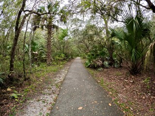 Hiking trail leading to the spring at Blue Springs State Park