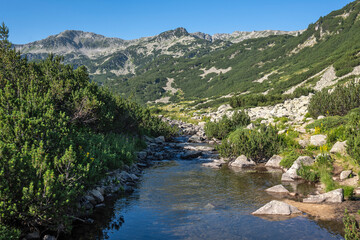 Pirin Mountain around Banderitsa River, Bulgaria