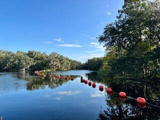 The springs at Blue Springs State Park in Orange City, Florida.