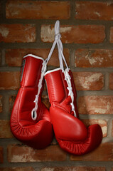 Boxing Gloves