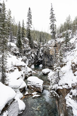 Marble Canyon, Kootenay National Park frozen during winter with calm water flowing.
