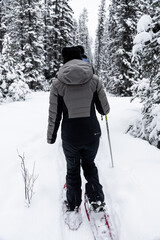 Hiker traversing snow packed trail in snow shoes, Banff National Park, Alberta Canada.