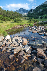 Pirin Mountain around Banderitsa River, Bulgaria