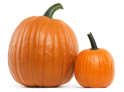 Two Pumpkins