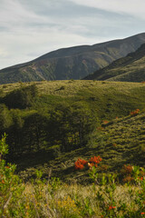 Mocho choshuenco volvcano south of chile