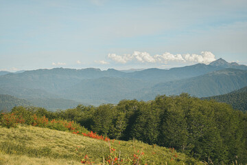 Mocho choshuenco volvcano south of chile