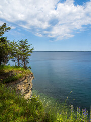 View over Lake Ontario with trees on a sunlit cliff by the water and flowers in the foreground at Robert G. Wehle State Park in New York state, USA.