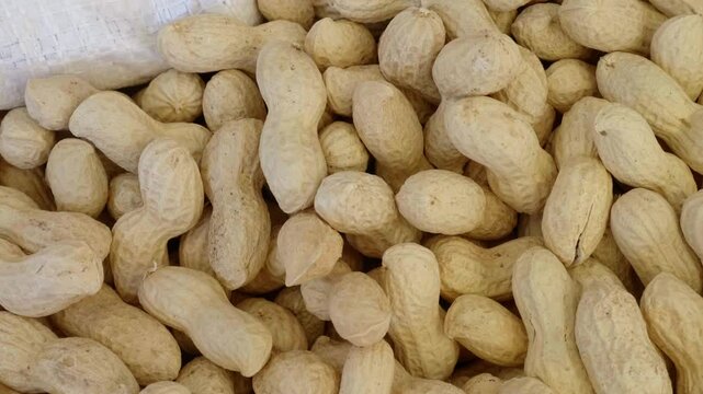 Fresh peanuts on display at a southern Italian market, highlighting their role in local cuisine and the tradition of nut farming in the region.