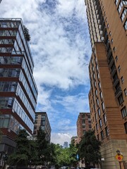 Overview of Battery Park City, New York - July 2024