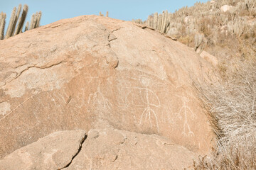 Valle del encanto, cuarta region Ovalle