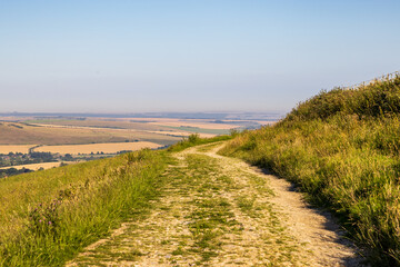 A path on Kingston Ridge in the South Downs, on a sunny summer's evening