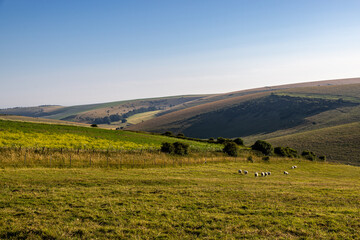 A view over rural Sussex from Kingston Ridge, on a summer's day