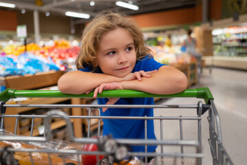 Kid with shopping cart at grocery store. Portrait of child in a food store or a supermarket. Little...