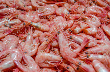 Fresh shrimp in a seafood market
