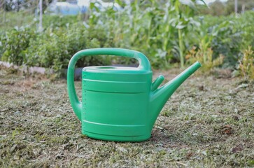 Green watering can for watering plants in the garden and greenhouse