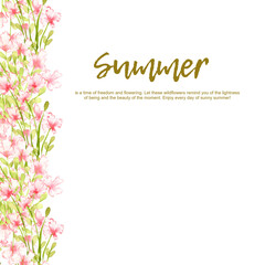 Flowers pink small wildflowers, left frame border with text summer watercolor illustration. Summer meadow with floral print and wildflowers. Isolated from the background. designing cards, invitations