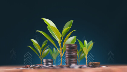 Economic growth, saving money and business ideas concept, The trees is growing on the pile of coins...