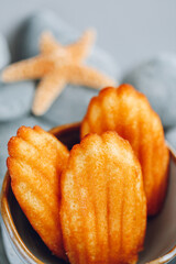 Madeleine biscuit cookies on gray stones. Madeleine cookies in a ceramic cup and starfish on gray pebbles.sweet French dessert in nautical style.Sweet pastries from French cuisine 