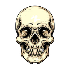 Adorable And Distinctive Skull Head Illustration, Cartoon Illustration