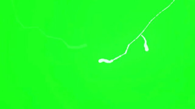 Intense Lightning on Green Background - Version 1