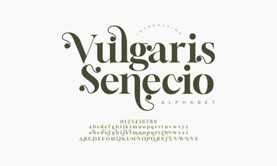 Vulgar swash luxury elegant alphabet letters and numbers. Vintage wedding typography classic serif font decorative vintage retro. creative vector illustration