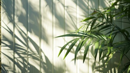 Naklejka premium Fence shadow overlay on white wall. Sunlit minimal blurred backdrop. Tropical summer surface.