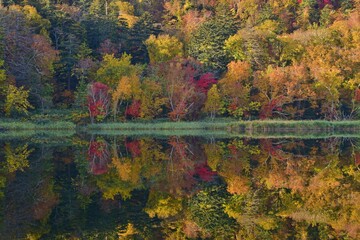 利尻島・姫沼の秋
