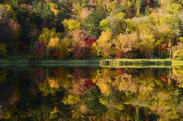 利尻島・姫沼の秋