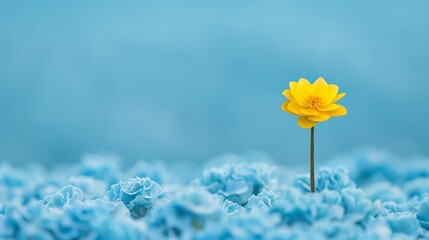 Intentions culminating in triumphs and personal fulfillment, Intentions, Triumphs, Fulfillment