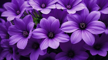 A picture of purple flowers, high definition and vividness