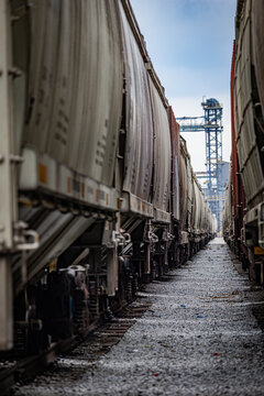 Timeless Train Tracks