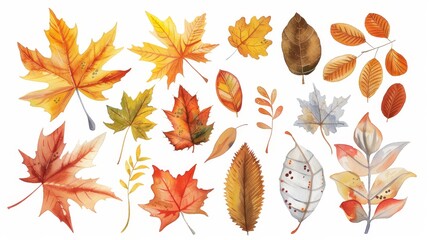 Obraz premium Autumn leaves set. Fall leaves. White background. Watercolor illustrations set